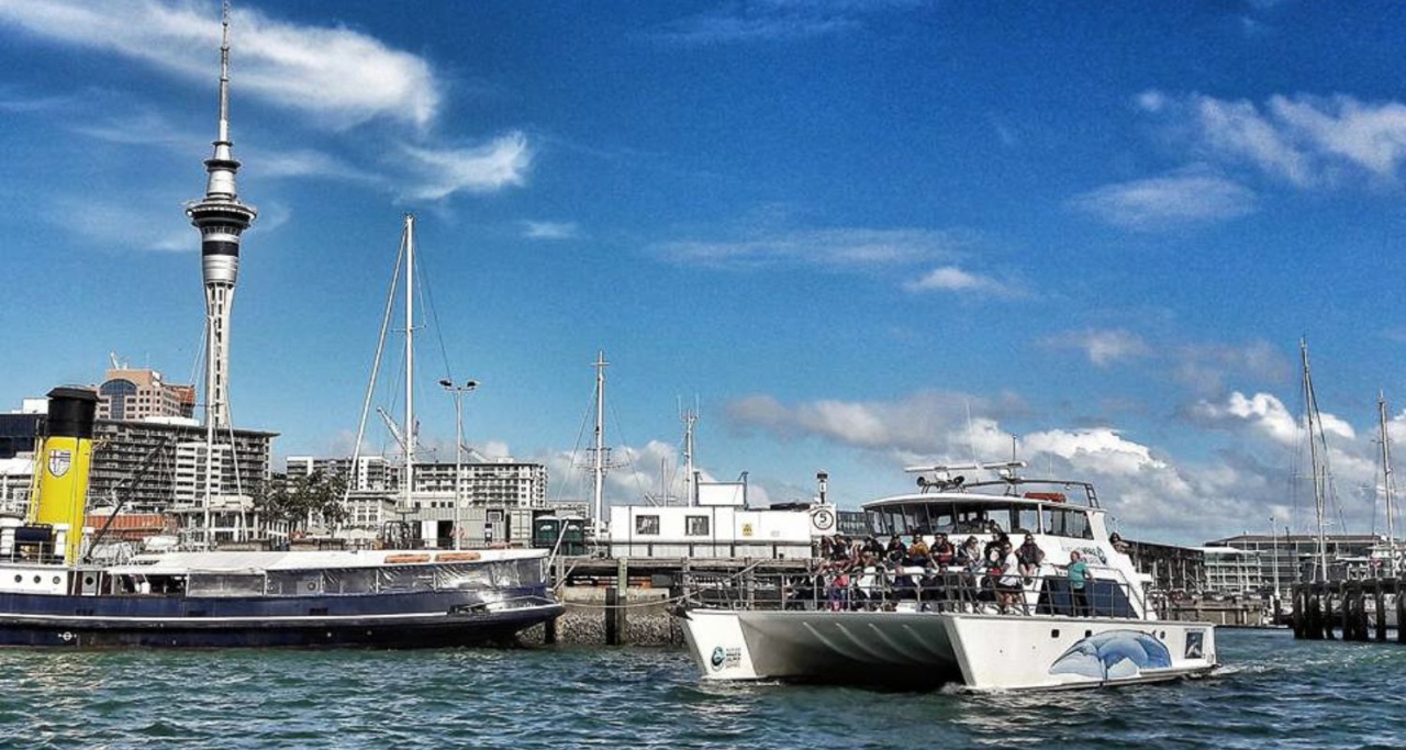 Auckland Whale & Dolphin Safari - Hero Banner Image 1 NEW