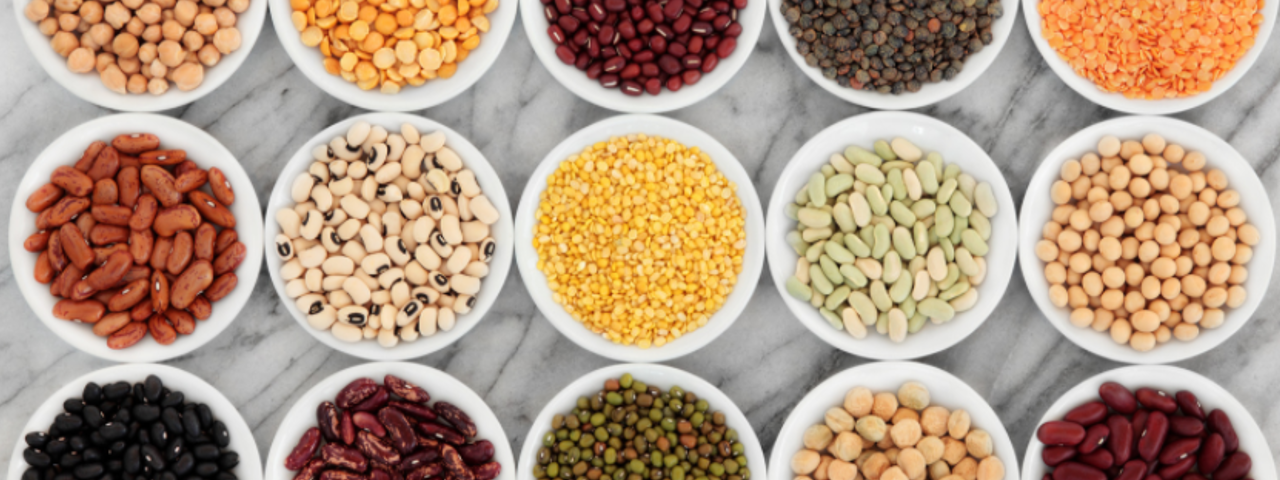 Banner Plant protein 2.png