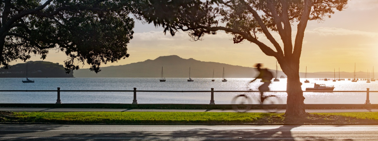 Cyclist at Tamaki Drive
