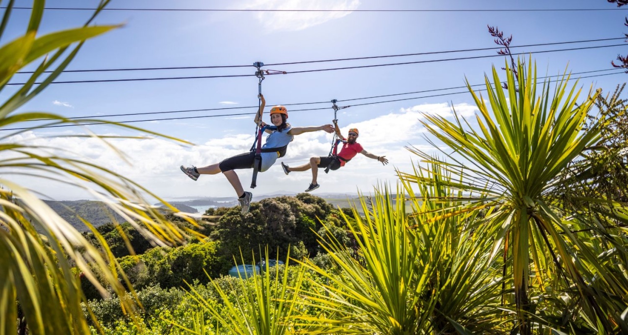 Two people on a zipline over treetops with EcoZip Adventures