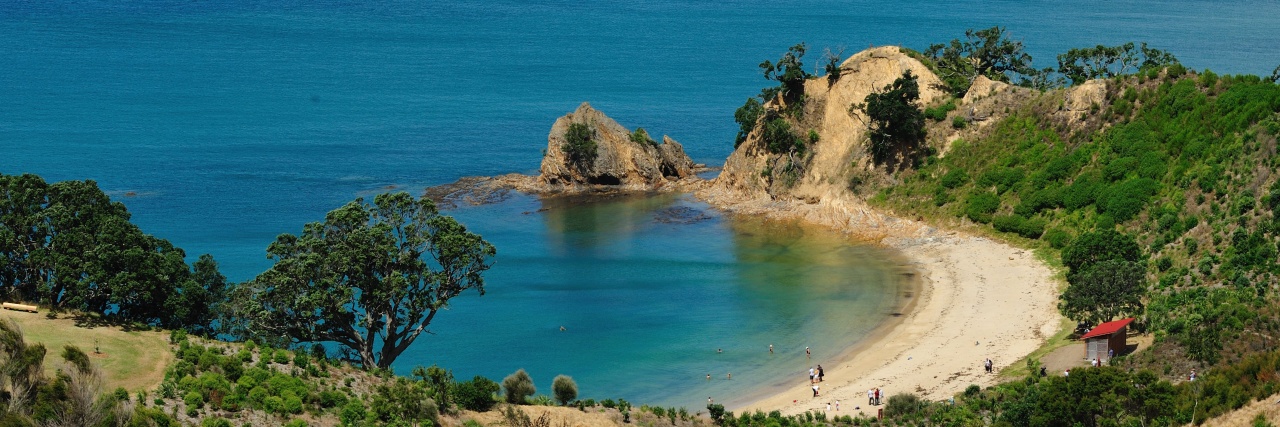 Rotorua Island beach and shed