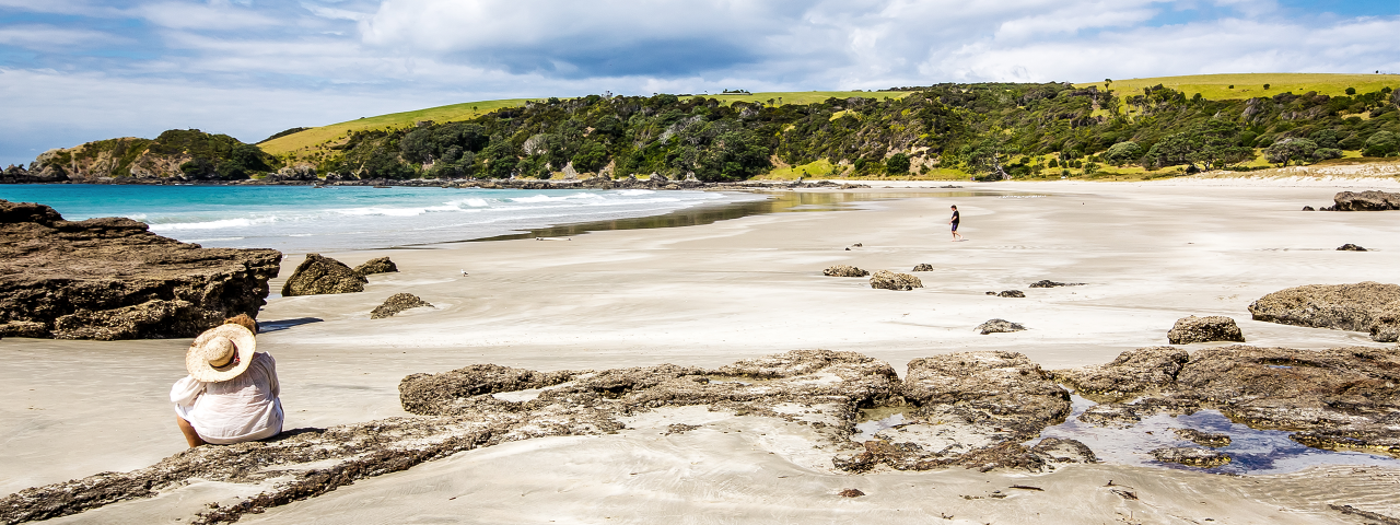 Top 10 North Auckland