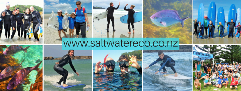 Photo of Saltwater Eco Snorkel School, Tawharanui Peninsula, Tawharanui Peninsula