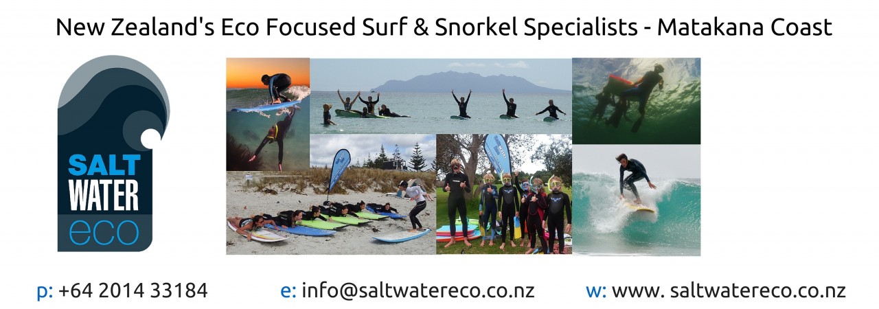 Photo of Saltwater Eco Snorkel School, Tawharanui Peninsula