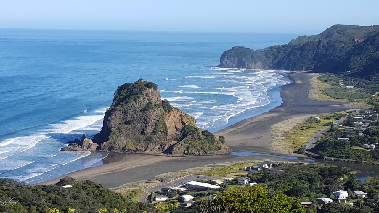 Photo of Bush and Beach Wilderness Experience - Half Day Tour, Auckland CBD, Auckland Central