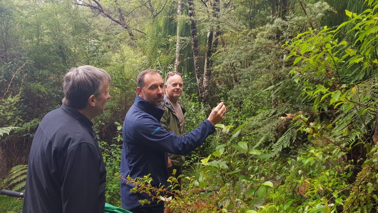 Photo of Bush and Beach Wilderness Experience - Half Day Tour, Auckland CBD, Auckland Central