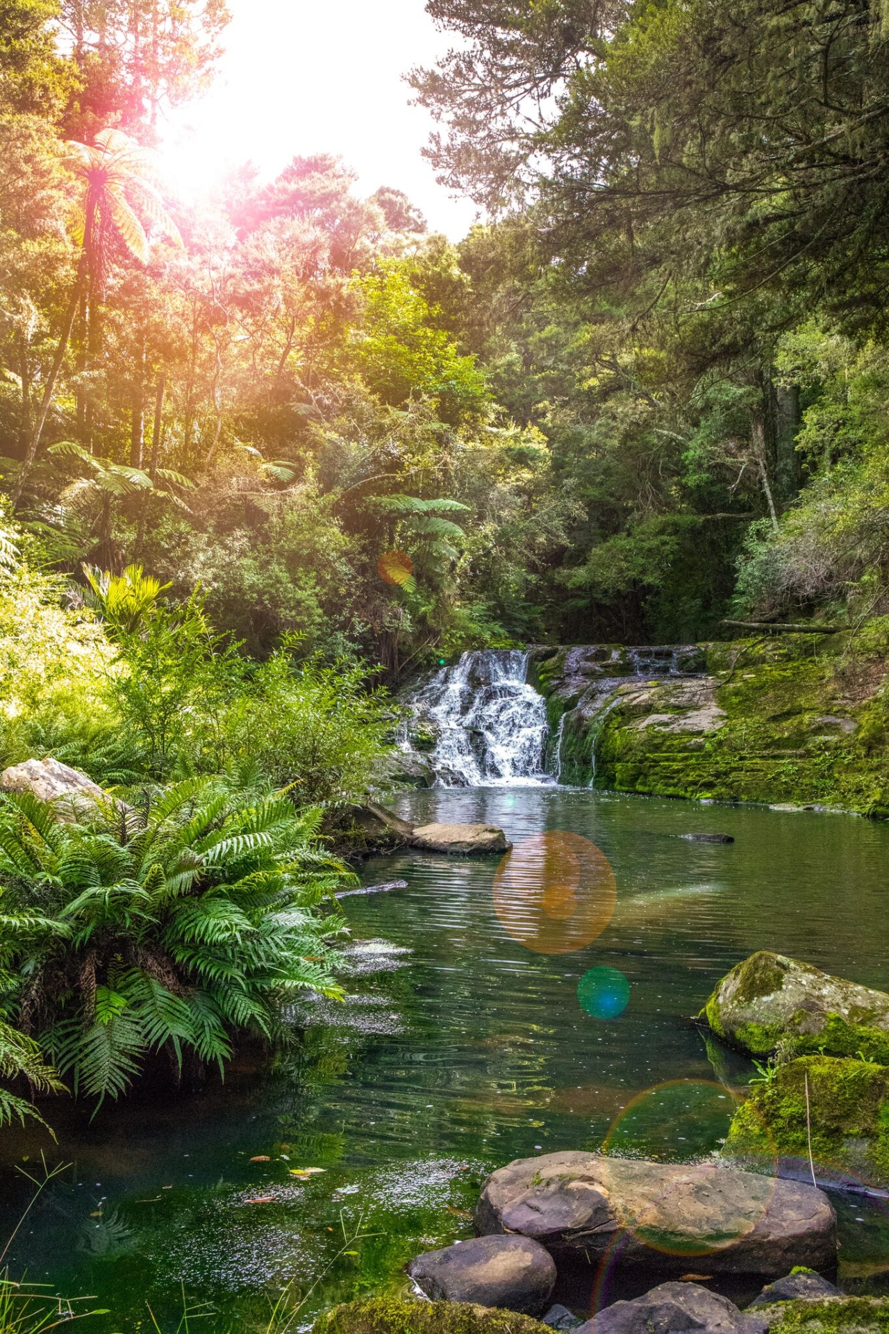 Photo of BeauRegard Accommodation Matakana, Matakana