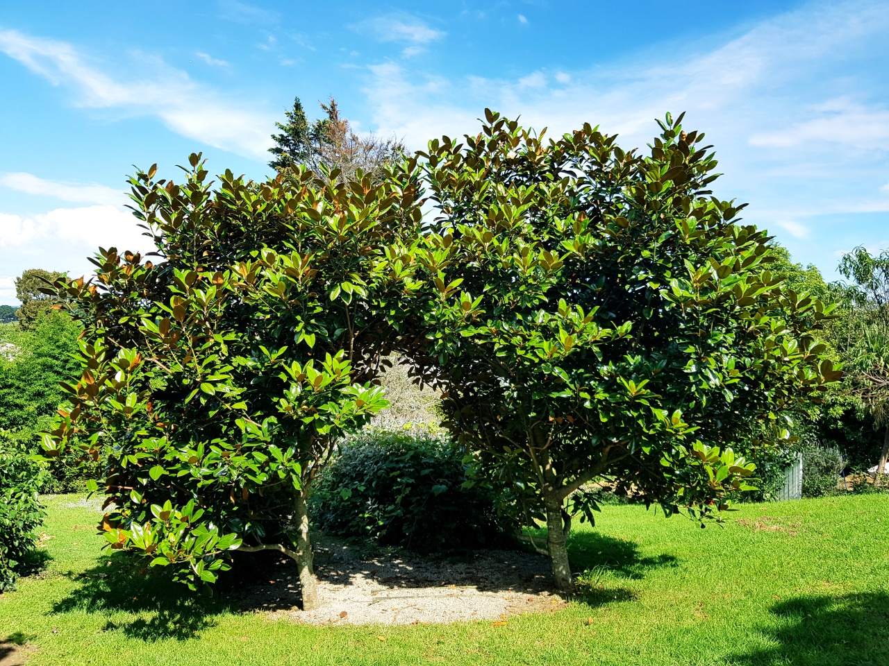 Photo of The Roost Executive Bed and Breakfast, Waiuku, Waiuku