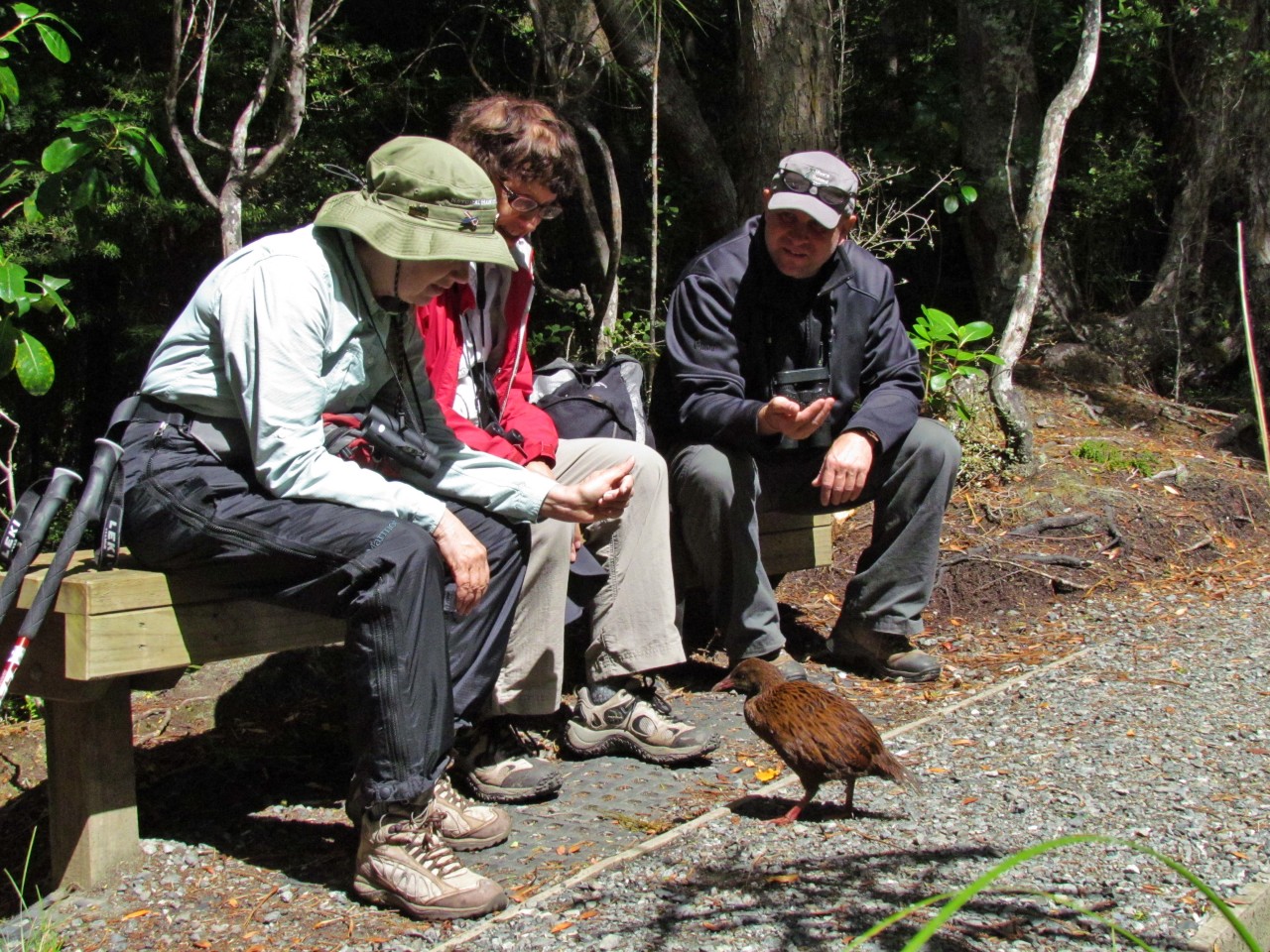 Photo of Nature Quest New Zealand, Dunedin