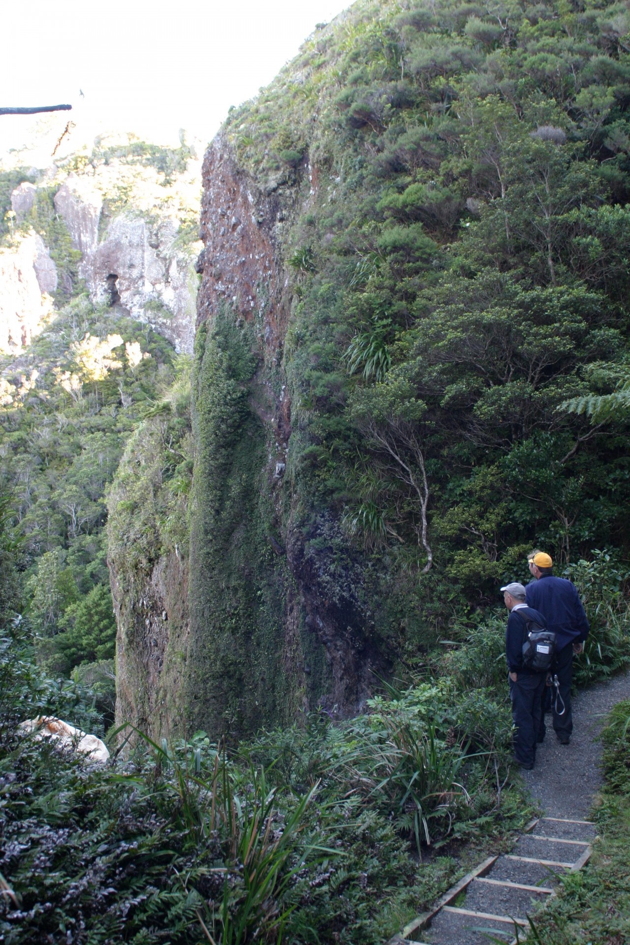 Photo of Bush and Beach Auckland's Untamed Island Tour - Full Day Tour, Auckland CBD, Auckland Central