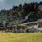 The Heke grounds