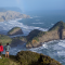 Hiking in West Auckland