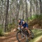 Mountain biker cycling down a trail in Woodhill Forest