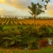 Photo of West Brook Winery, Huapai, Huapai