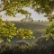 Photo of West Brook Winery, Huapai, Huapai