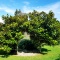 Photo of The Roost Executive Bed and Breakfast, Waiuku, Waiuku