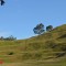 Photo of Auckland Scenic Tours, Parnell, Parnell