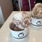 Photo of Movenpick Swiss Ice Cream, Auckland