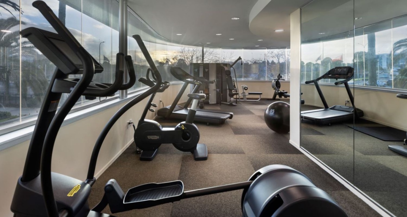 The Gym at Ibis Auckland Ellerslie hotel