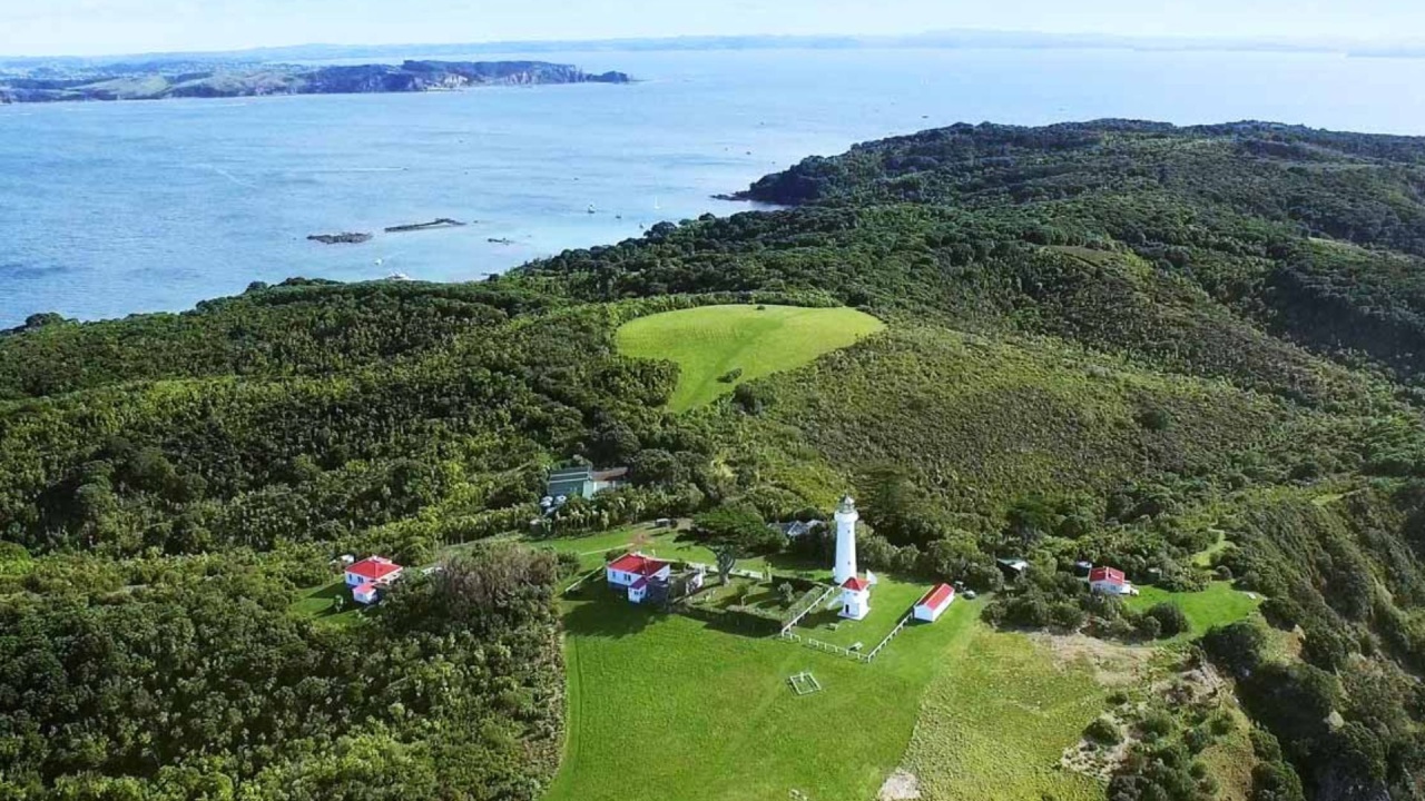 Tiritiri Matangi