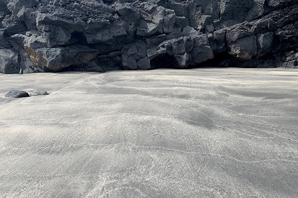 Studying in Auckland allows you to explore the city and the surrounding region.