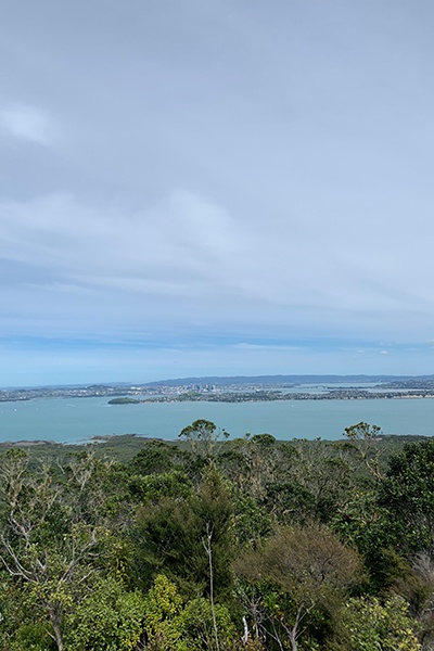 Studying in Auckland allows you to explore the city and the surrounding region.