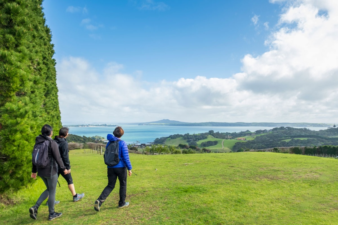 Waiheke hike