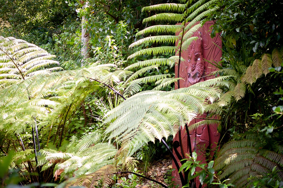 Te Wao Nui - Auckland Zoo