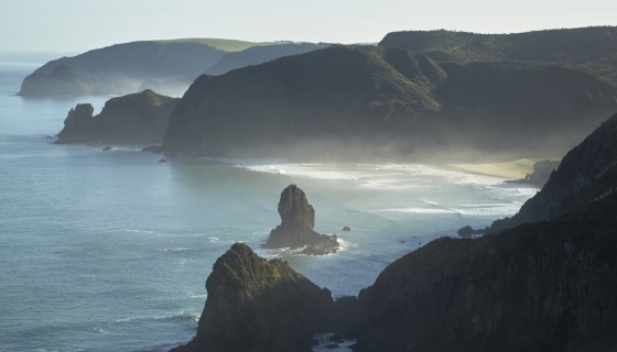 West coast of Auckland