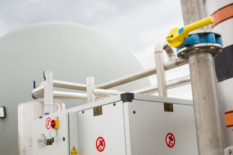 Banner image for Aqyuafortus.png