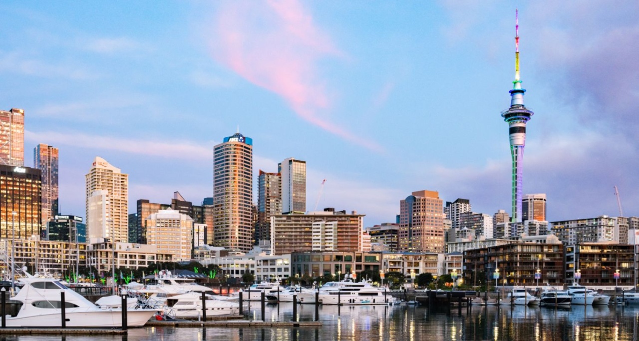 Auckland city views
