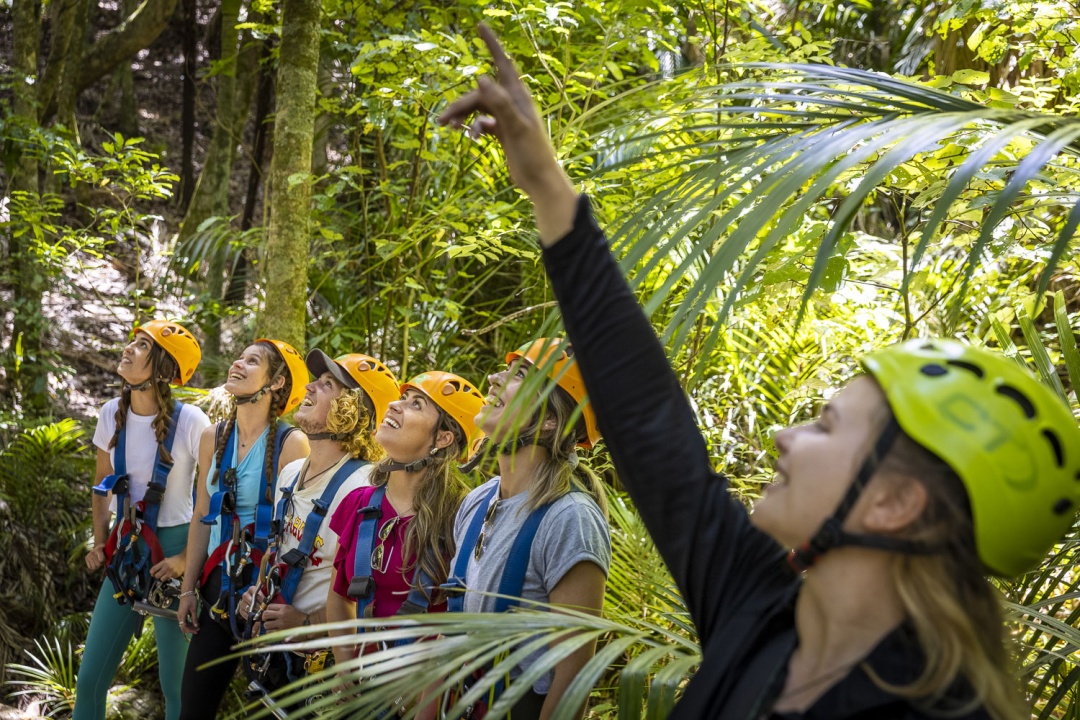 EcoZip - Ziplining in forest group chat