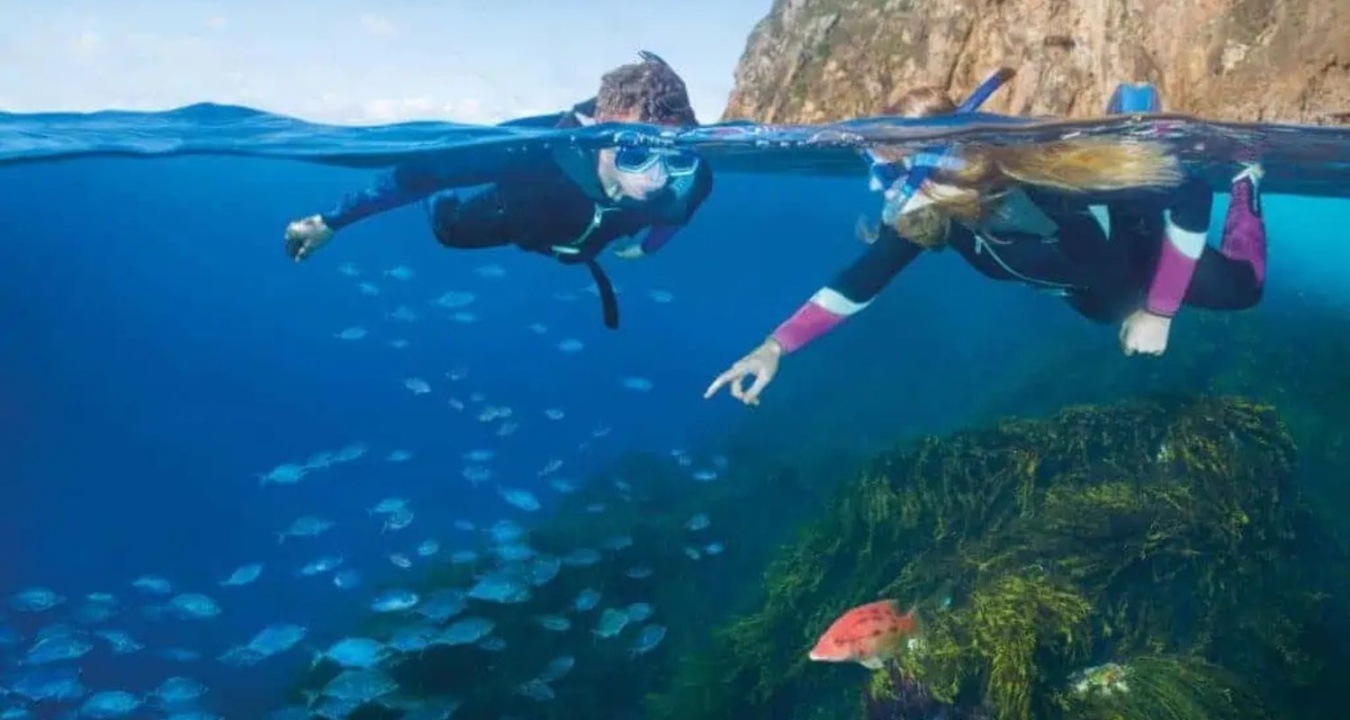 Snorkelling with the fishes